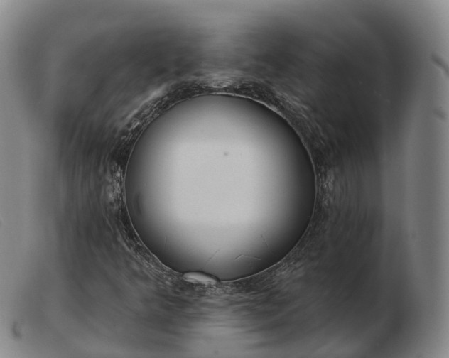 X0000103461349200809191802