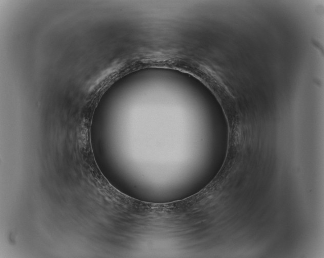 X0000103461350200809191802