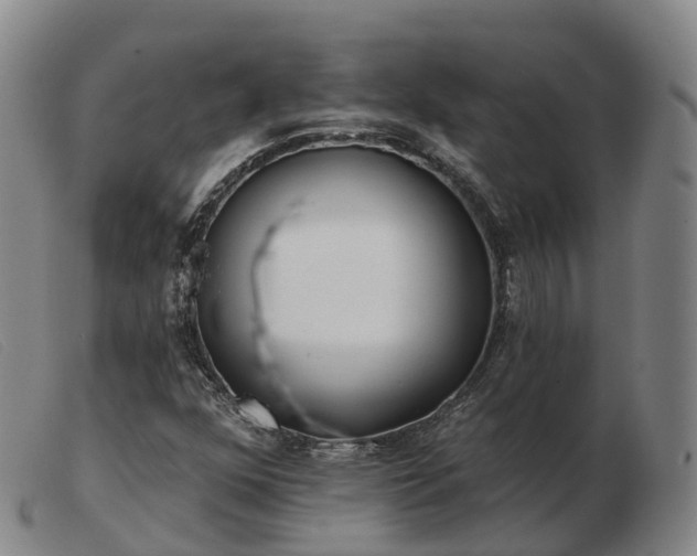 X0000103461352200809191802