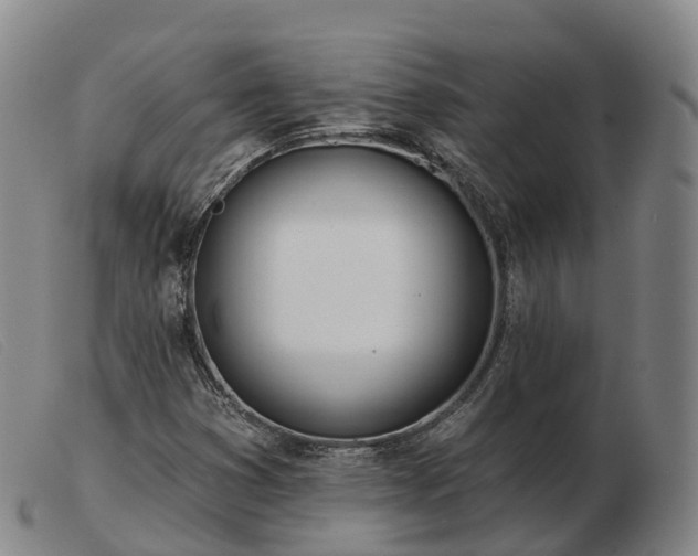 X0000103461353200809191802