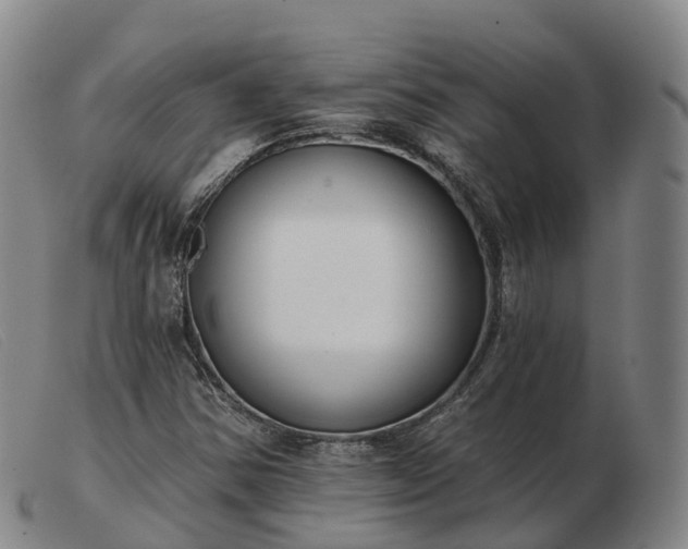 X0000103461354200809191802