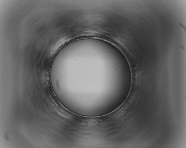 X0000103461355200809191802