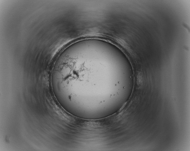 X0000103461356200809191802