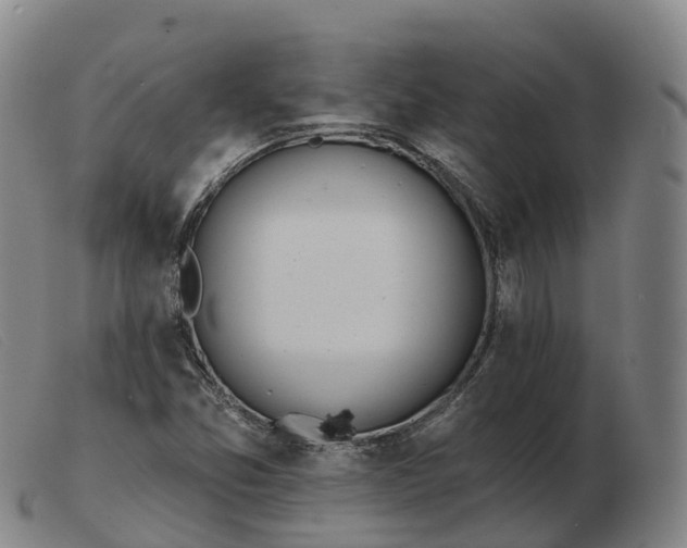 X0000103461357200809191802
