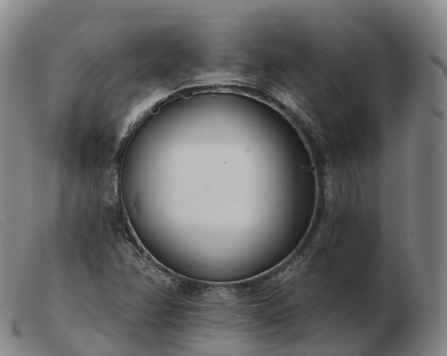 X0000103461358200809191802
