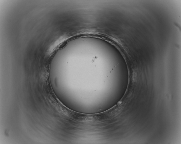 X0000103461359200809191802
