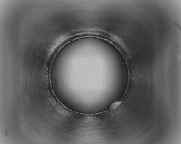 X0000103461360200809191802