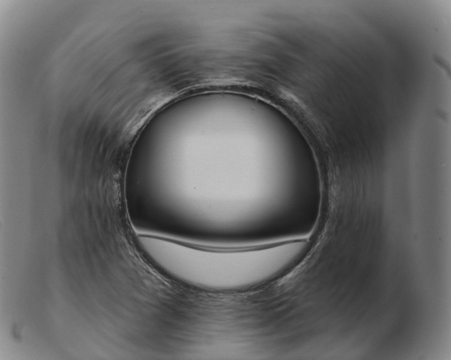 X0000103461361200809191802