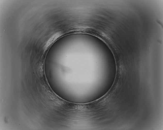 X0000103461362200809191802