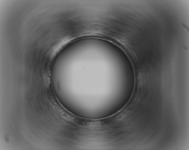 X0000103461363200809191802