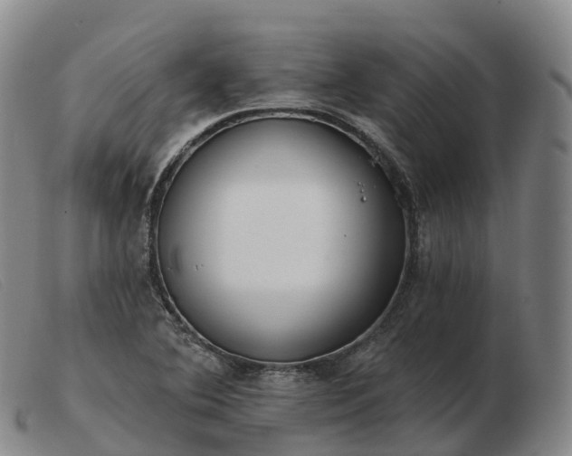 X0000103461364200809191802