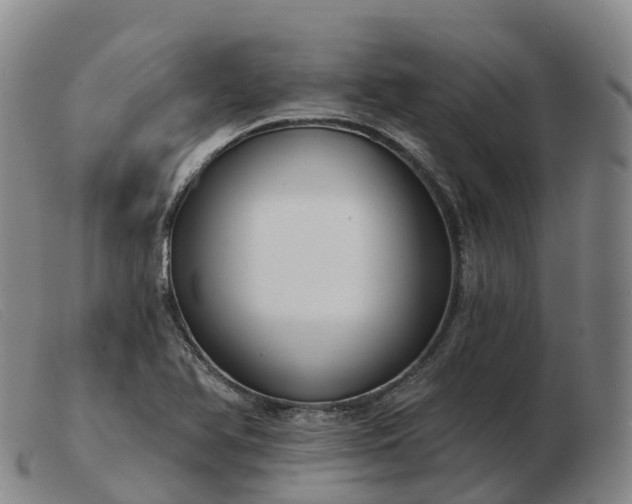 X0000103461366200809191802