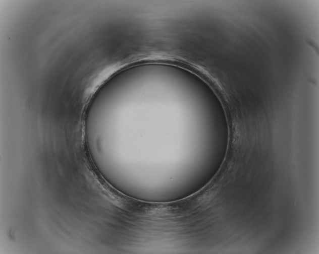 X0000103461367200809191802