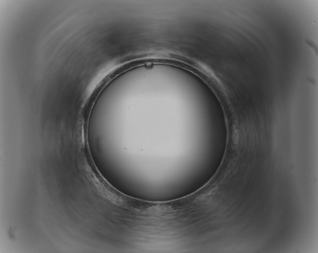 X0000103461368200809191802
