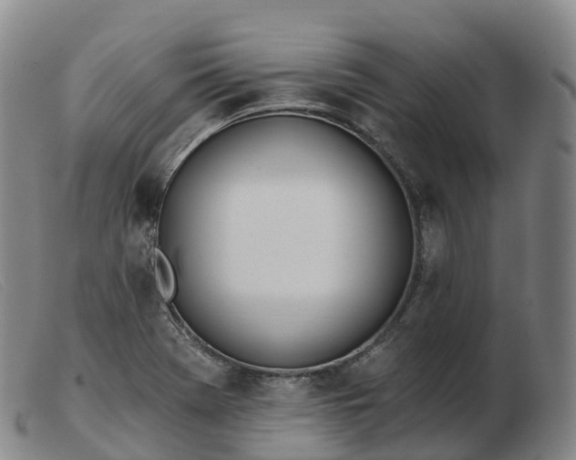 X0000103461369200809191802