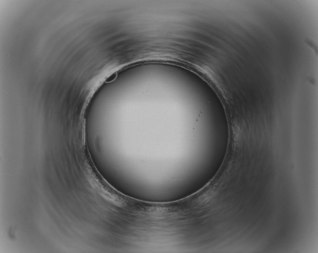 X0000103461371200809191801