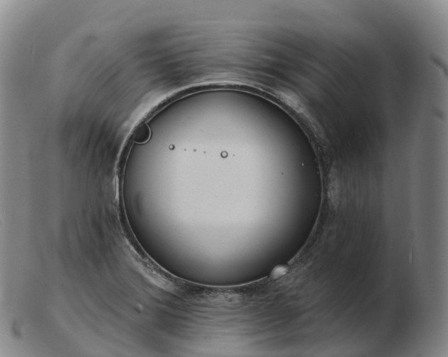 X0000103461372200809191801