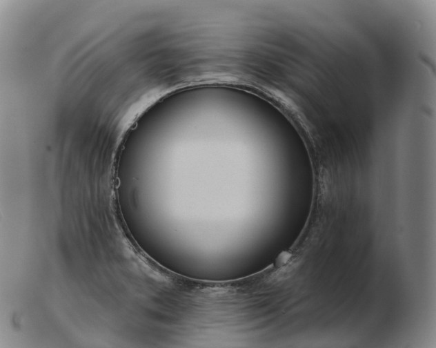X0000103461373200809191801