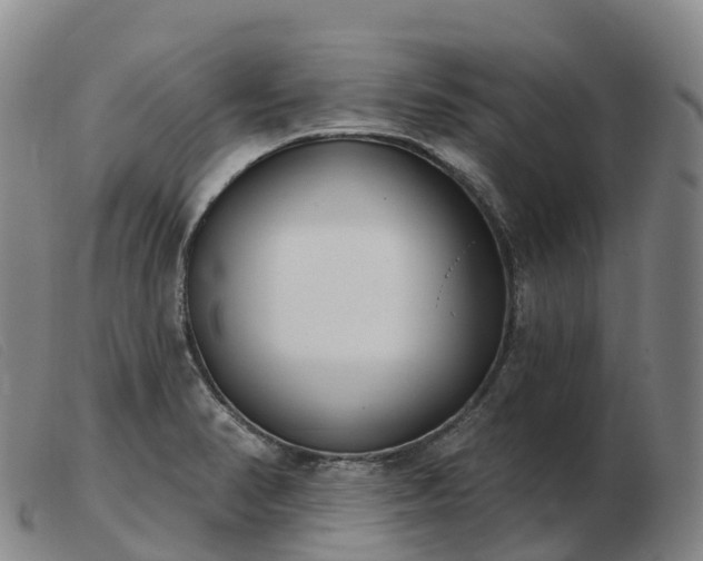 X0000103461374200809191801
