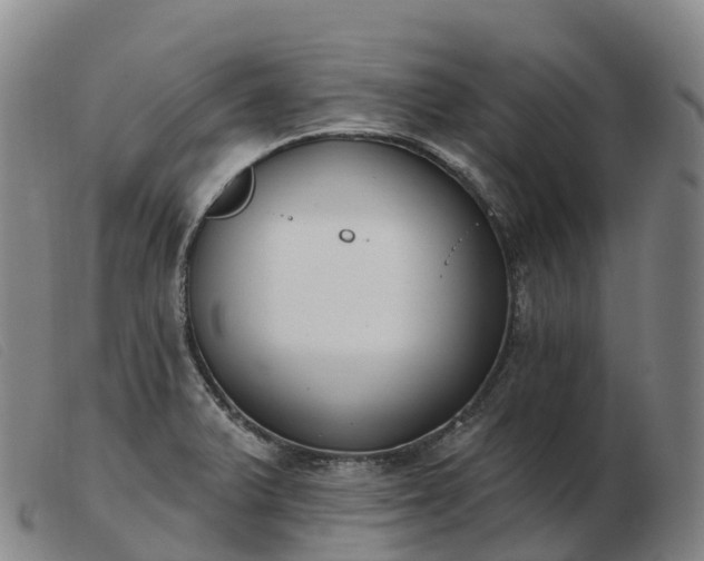 X0000103461375200809191801
