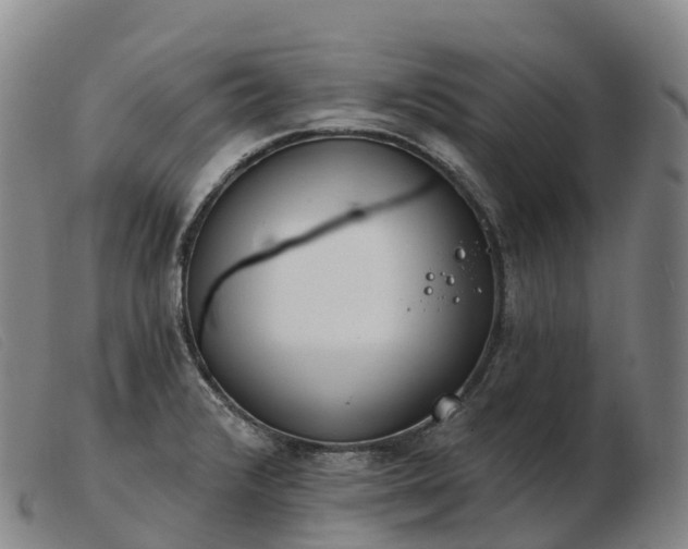 X0000103461376200809191801