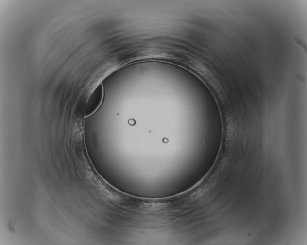 X0000103461377200809191801