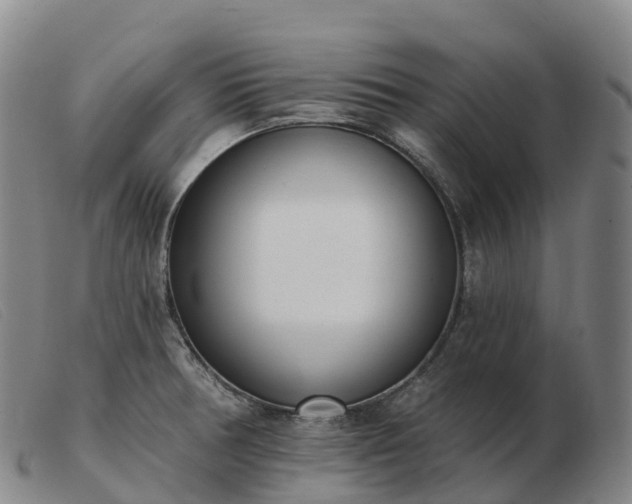X0000103461378200809191801