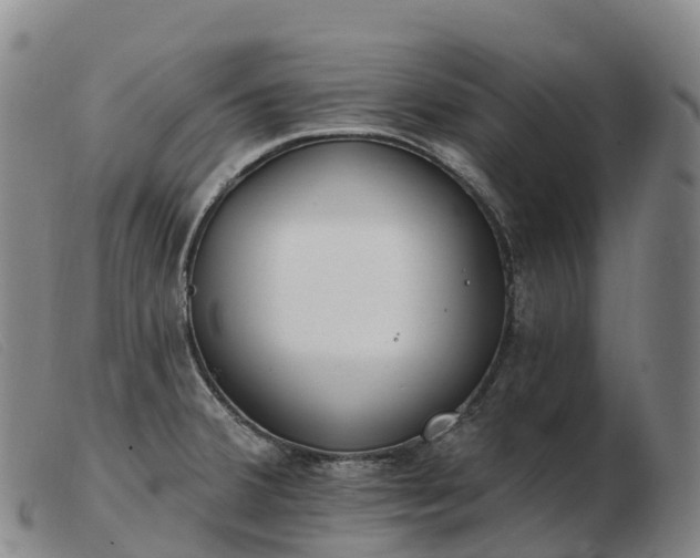 X0000103461380200809191801