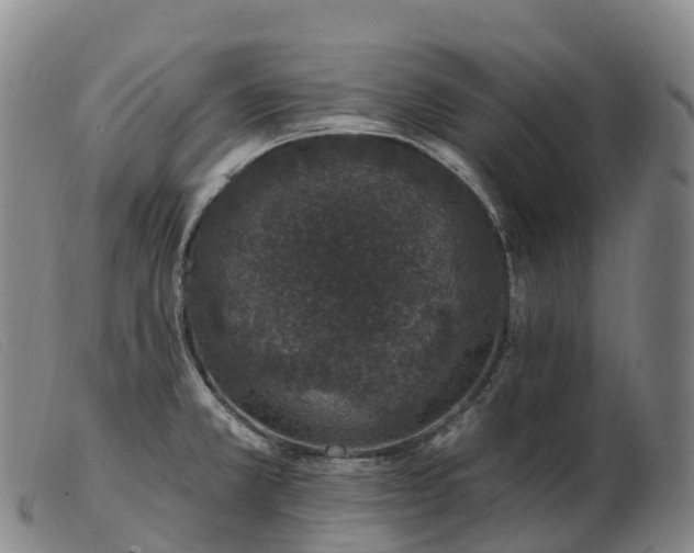 X0000103461381200809191801
