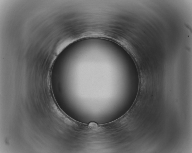 X0000103461382200809191801