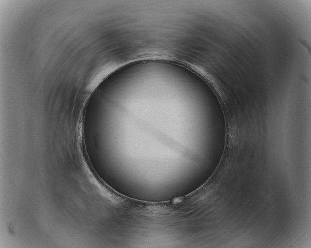 X0000103461383200809191801