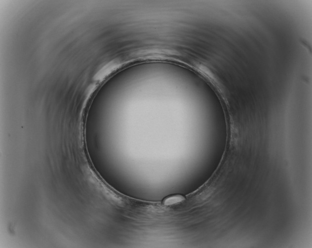 X0000103461384200809191801