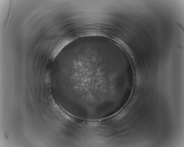 X0000103461385200809191801