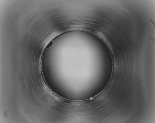 X0000103461386200809191801