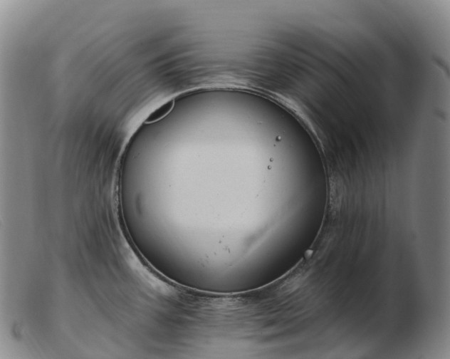 X0000103461387200809191801
