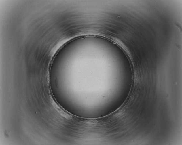 X0000103461388200809191801