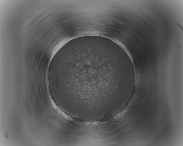 X0000103461389200809191801
