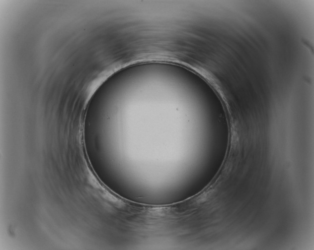 X0000103461390200809191801