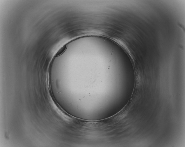 X0000103461391200809191801