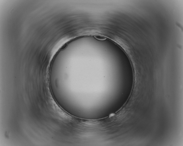 X0000103461392200809191801