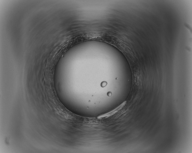 X0000103461393200809191800