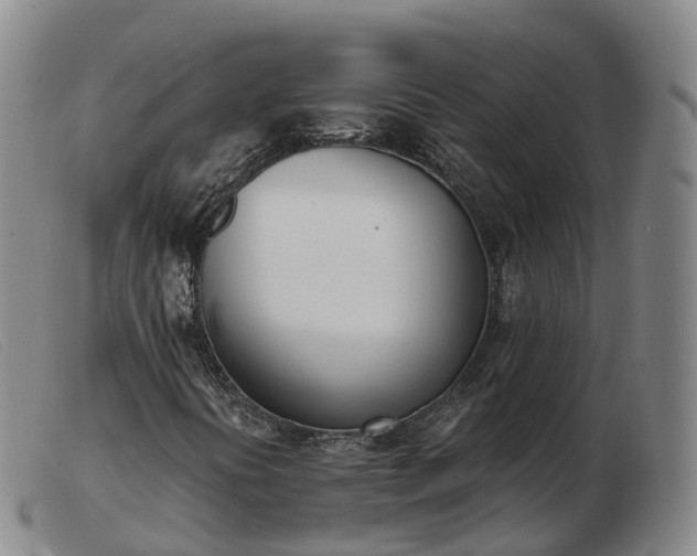 X0000103461394200809191800