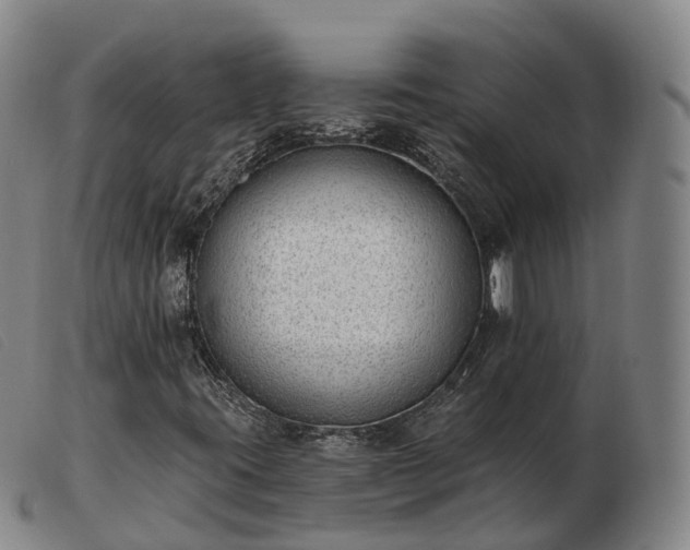 X0000103461395200809191800