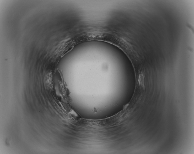 X0000103461396200809191800