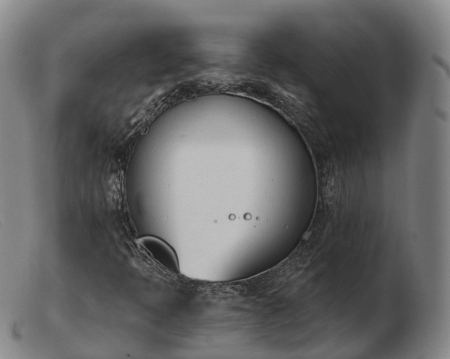 X0000103461397200809191800