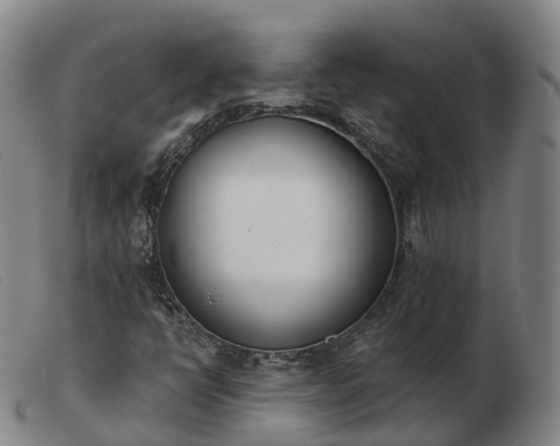 X0000103461398200809191801