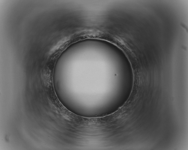 X0000103461399200809191801