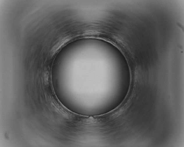 X0000103461401200809191801