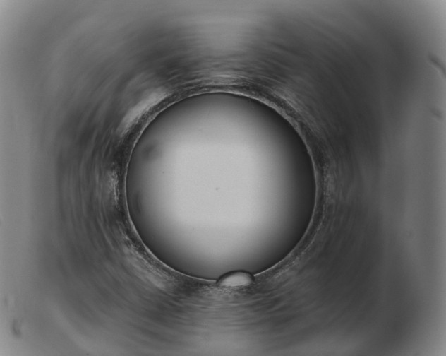X0000103461402200809191801