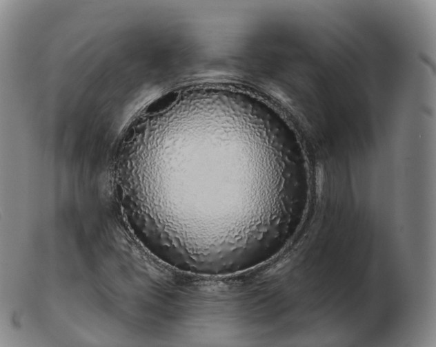 X0000103461405200809191801